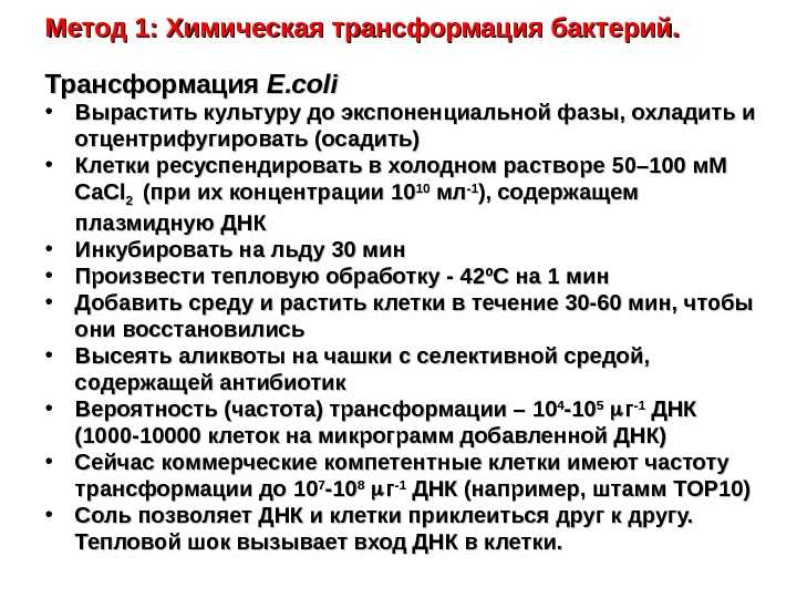 Трансформация - med24info.com