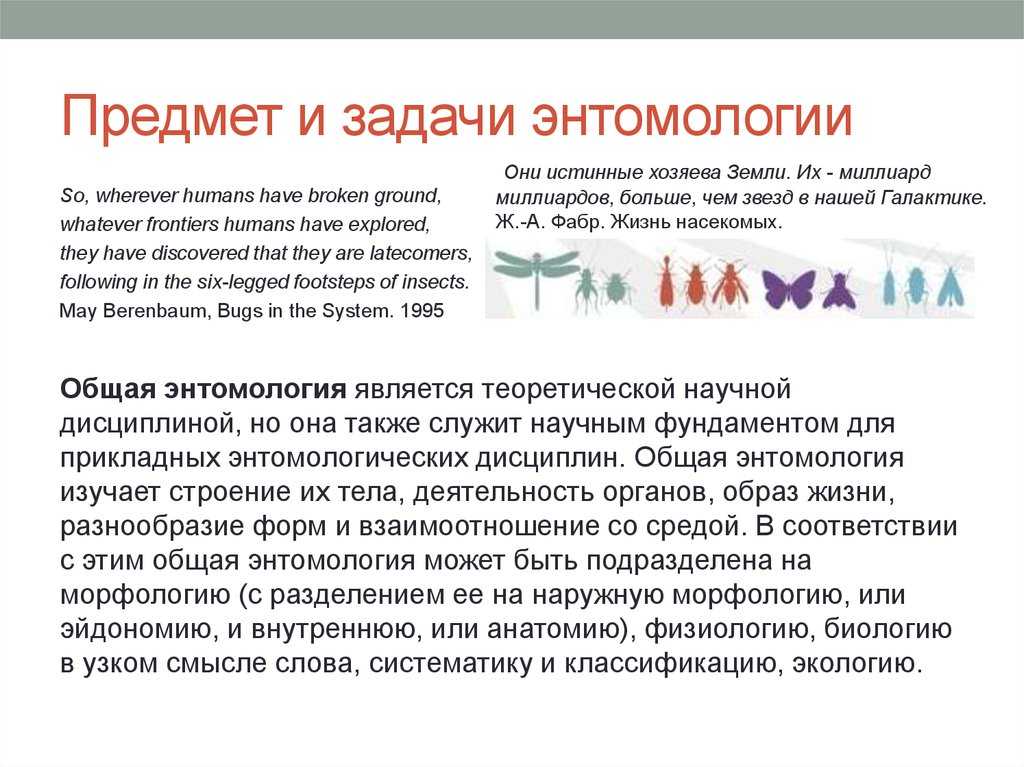 Энтомология министерство сельского хозяйства и продовольствия республики беларусь .  государственный аграрный университет | авторская платформа pandia.ru