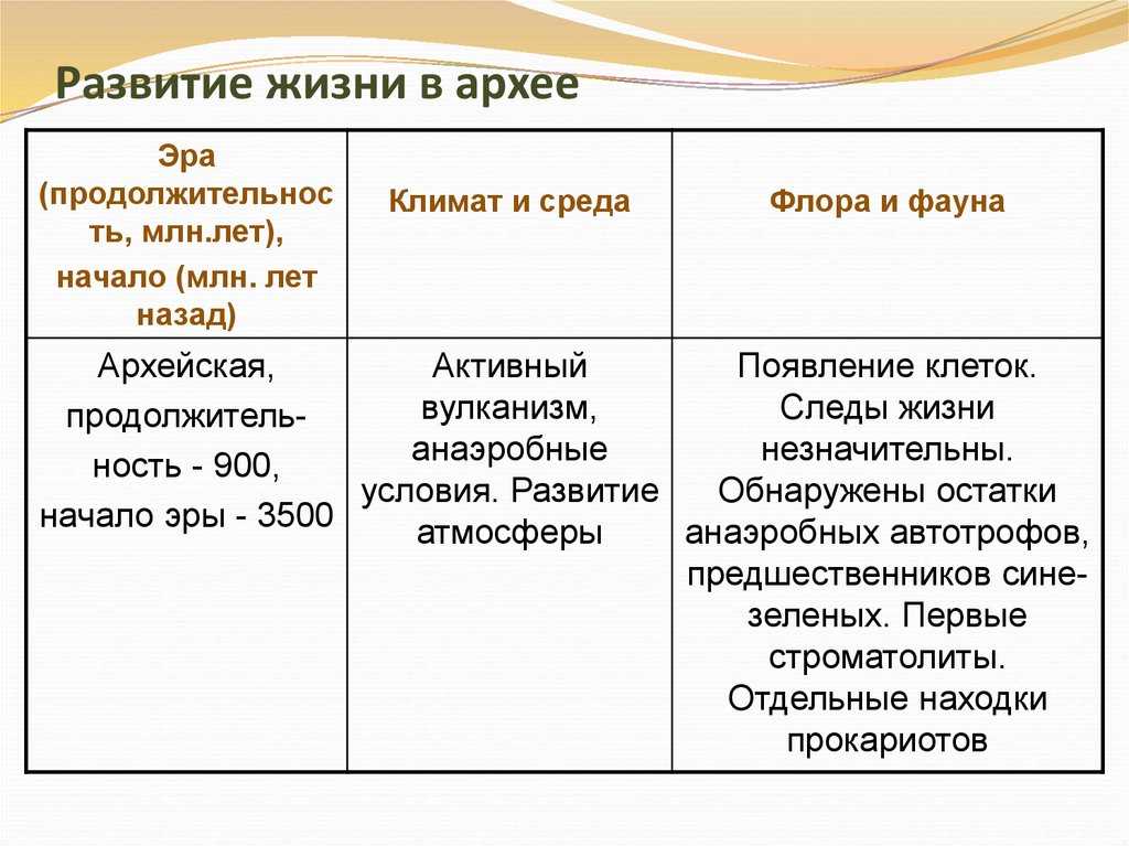 Развитие жизни в архейскую эру