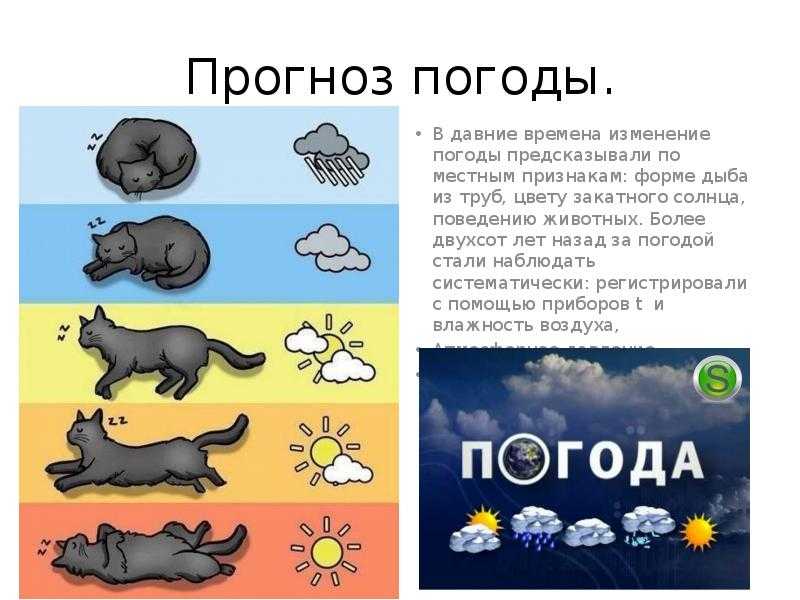 Народные приметы предсказания погоды - libtime