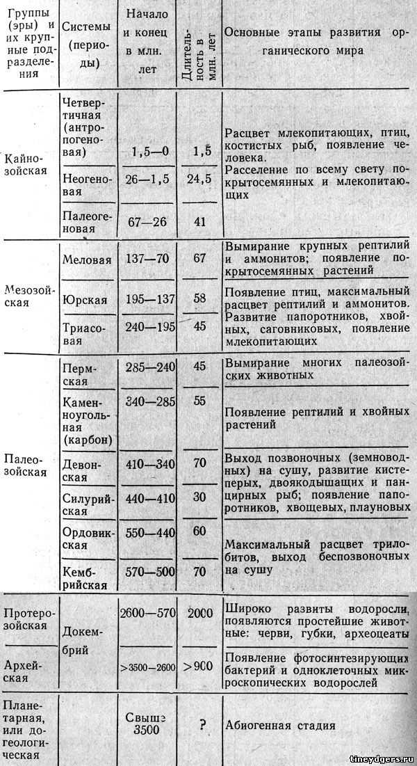 Эры и периоды жизни на земле — палеозой, мезозой, кайнозой