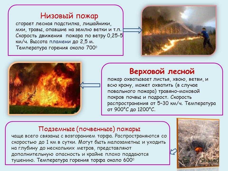 Тушение лесных пожаров ⋆ propozhar