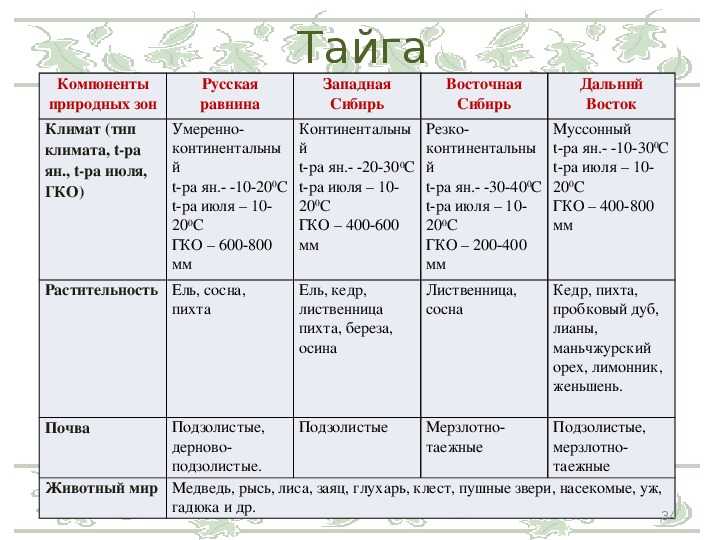 Климат тайги