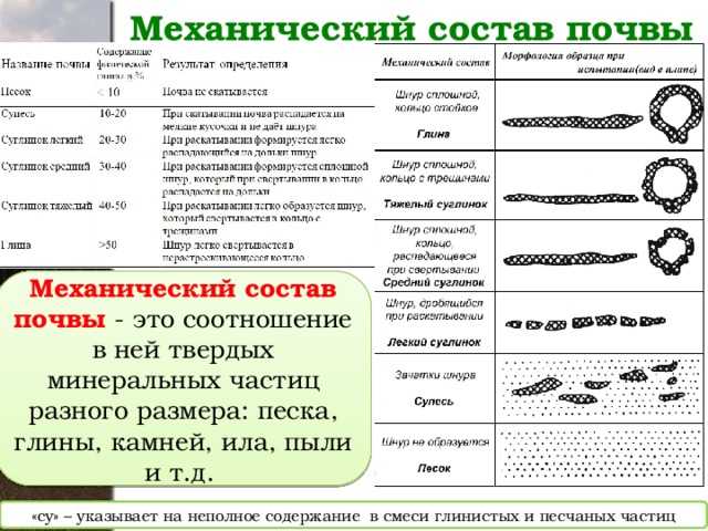 Окнднпндхе онвб