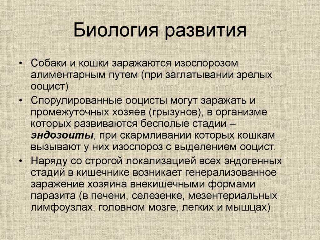 Безоарная болезнь телят - причины и профилактика камней