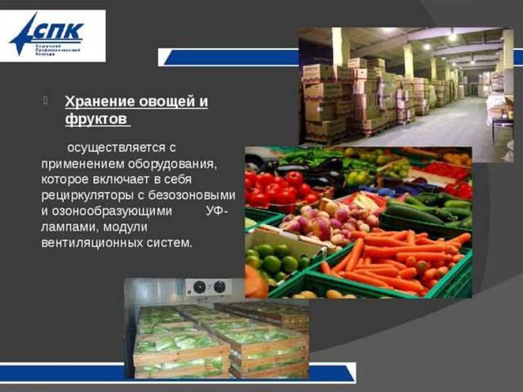 Как лучше хранить зимой овощи: морковь, капусту, свеклу, чеснок, лук, тыкву, картофель, яблок и орехи