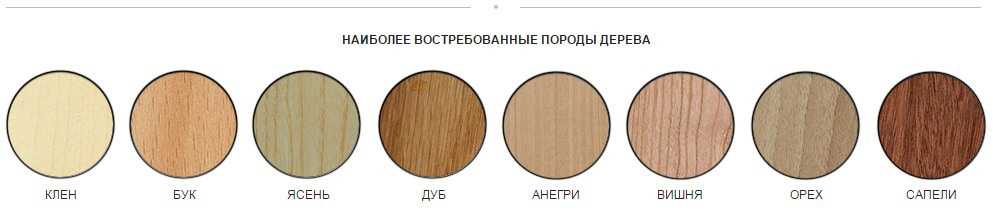 Бук: описание дерева, выращивание, фото и виды