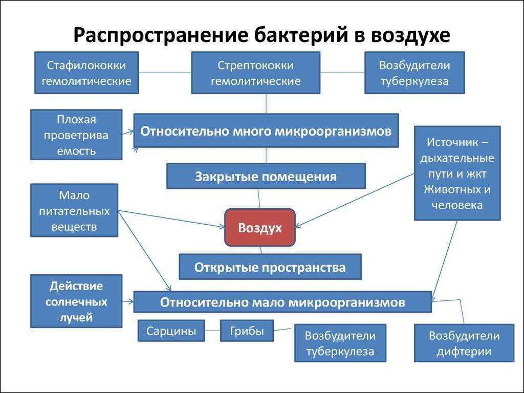 Распространение микроорганизмов в природе презентация, доклад, проект на тему