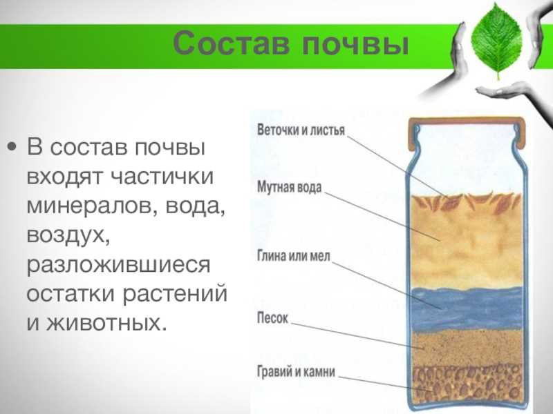 Лекция 9 - тема: «почвенный воздух и воздушный режим почв»