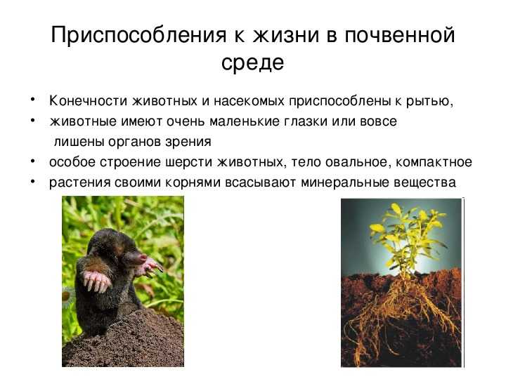 Краткий курс лекций