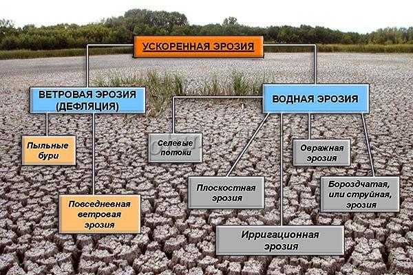 Антропогенное воздействие на почвы - братков в.в. и др. геоэкология