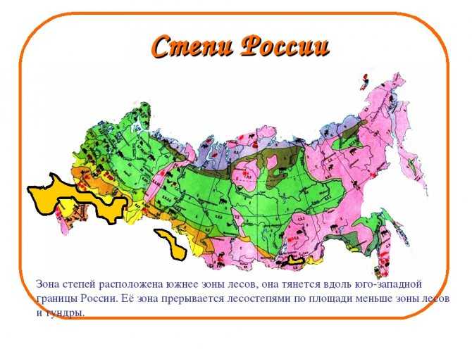 Зона степей