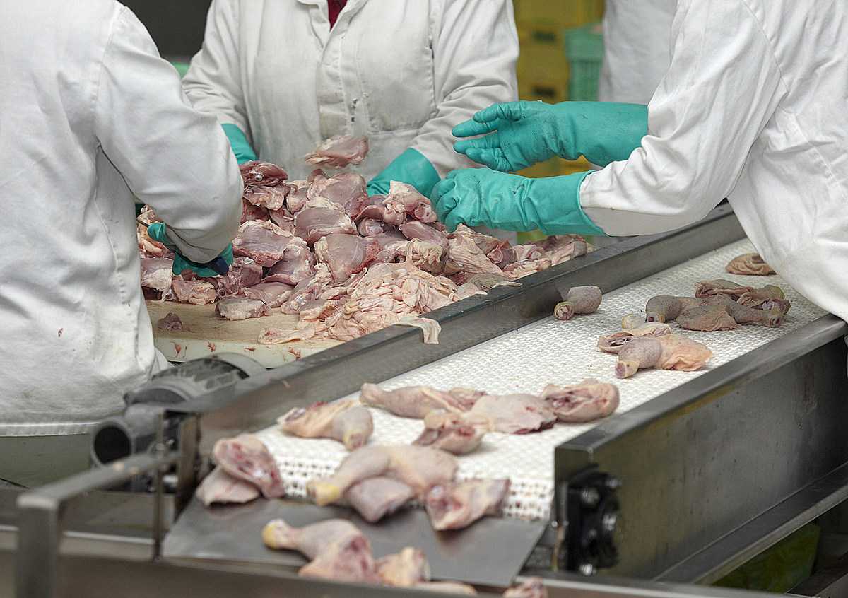 Технологическая схема обработки слизистых субпродуктов крс