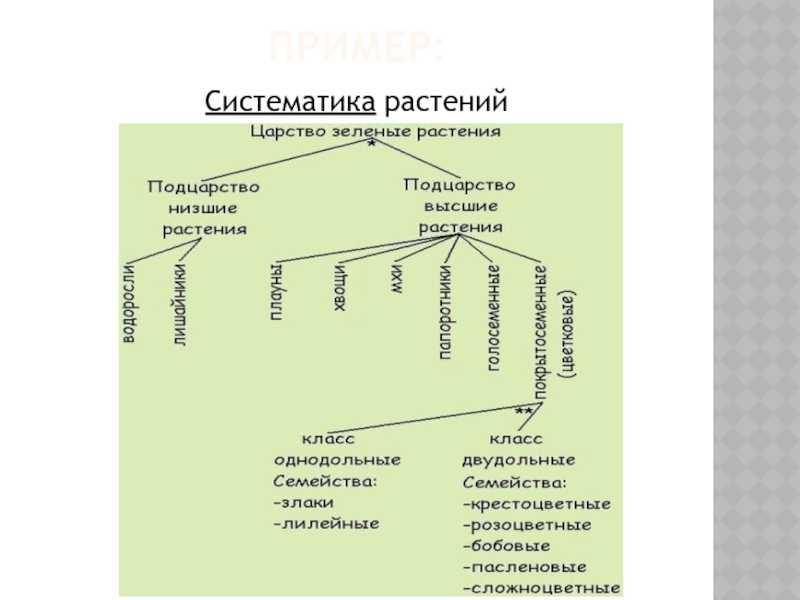 Введение в систематику. бинарная номенклатура