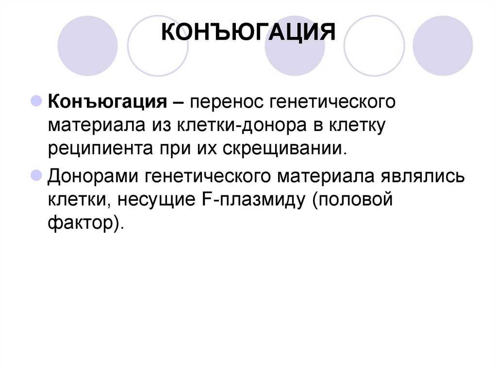 Конъюгация в биологии: понятие и значение