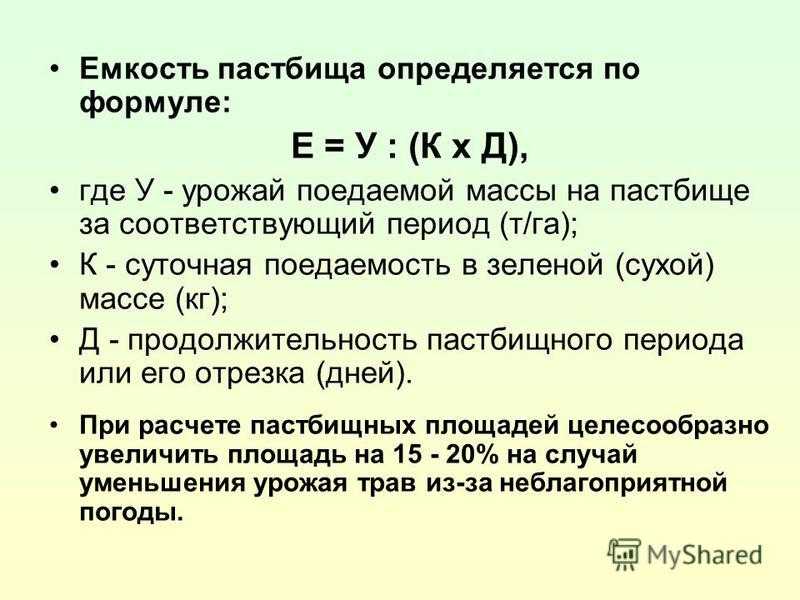 Выпас скота на пастбище