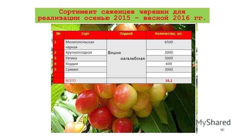 5 (86). основные понятия помологии плодовых и ягодных культур