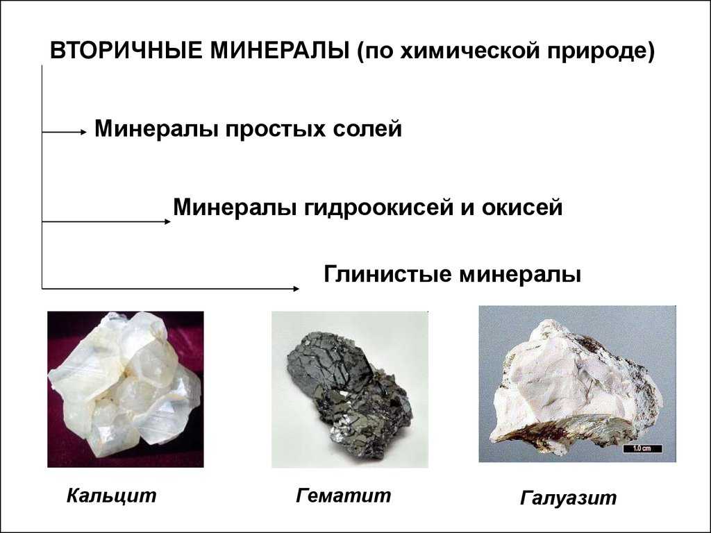 Почвоведение