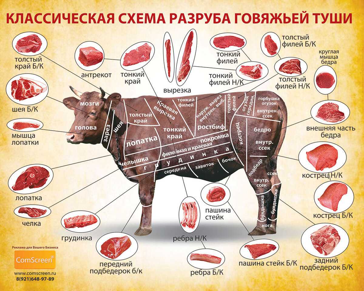 Пороки мяса (часть 1) » строительный портал: новости, статьи, обзоры