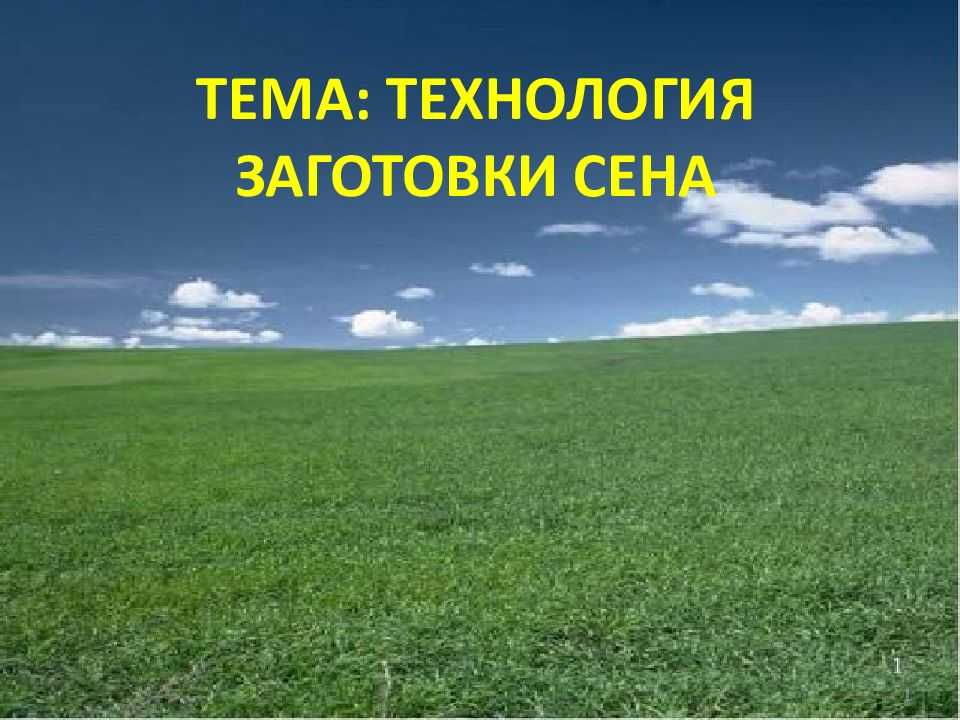 Дача и огород