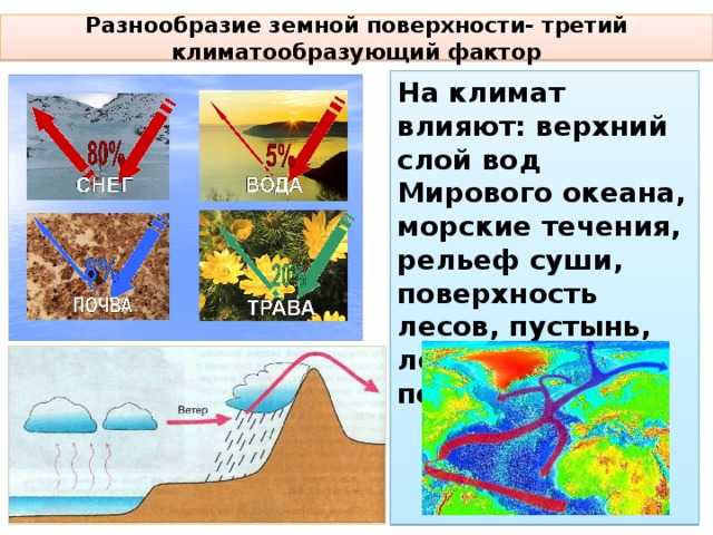 Климат как фактор почвообразования. реферат. геология. 2015-06-30