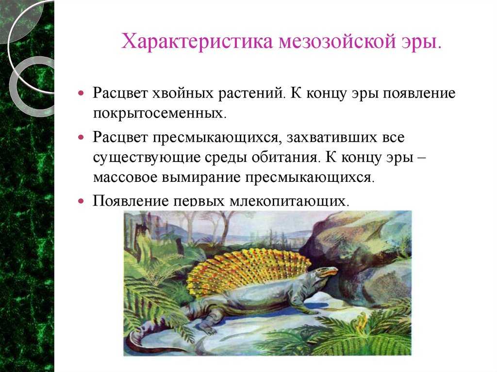Краткий экскурс: как ученые разбираются в эрах планеты? - hi-news.ru