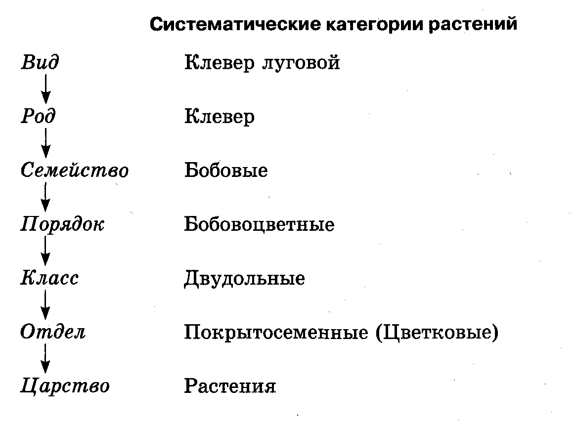 Система живого мира