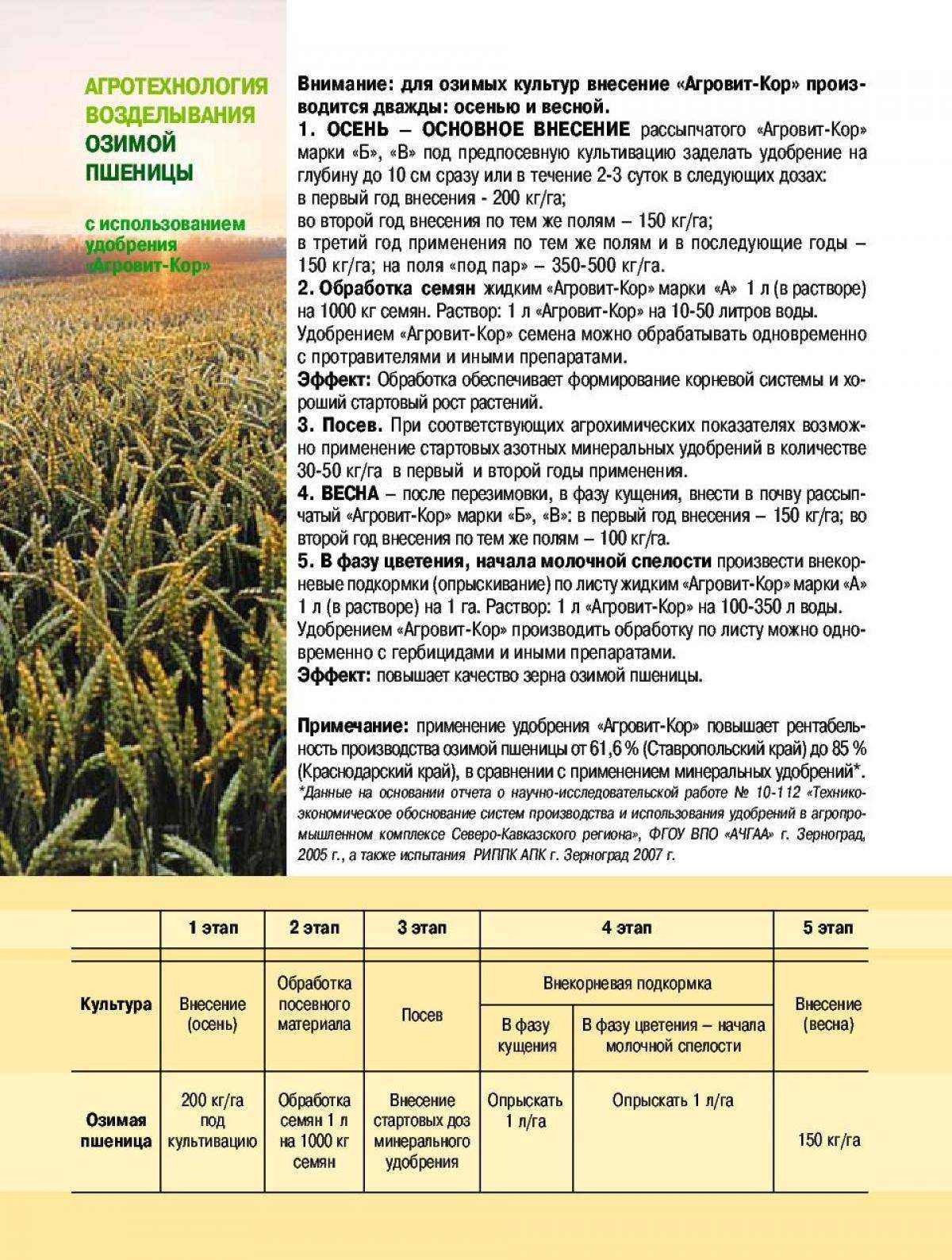 2.1. характеристики зерна как объекта сушки