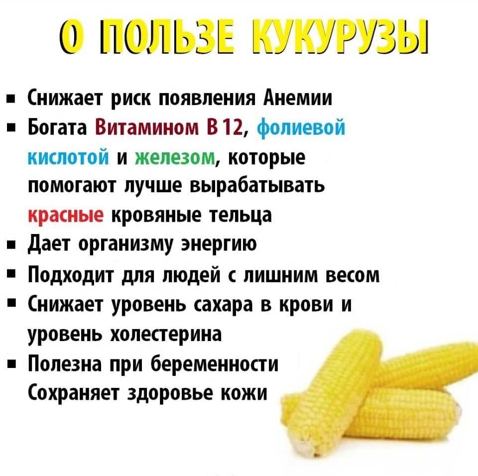 Белый налет на кукурузе плесень?