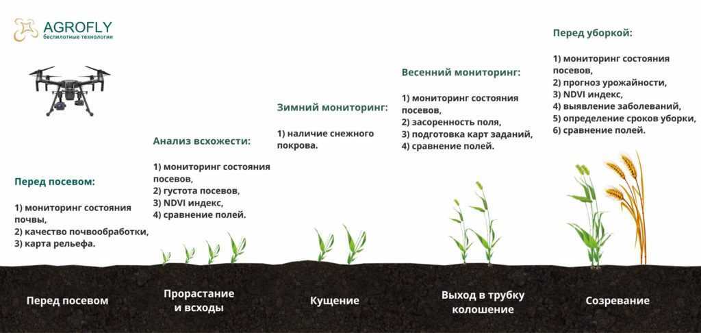 Презентация на тему: "итоги и основные направления селекции озимой мягкой и твердой пшеницы в условиях изменяющегося климата зав. лаб. селекции и семеноводства озимой пшеницы.". скачать бесплатно и без регистрации.