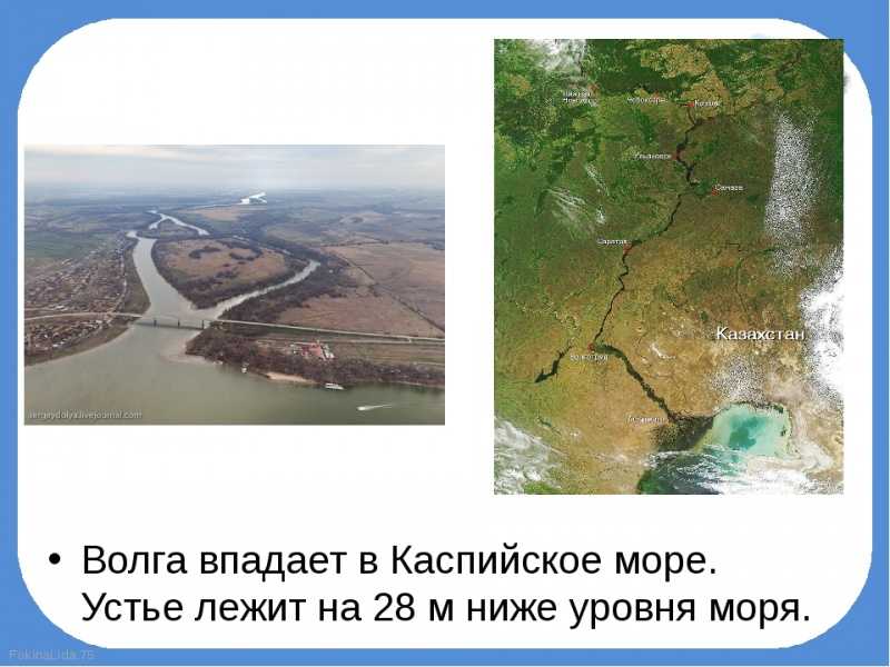 Окружающий мир