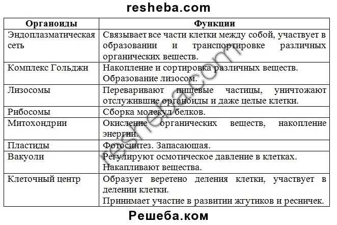 Принципы организации клетки - основы биохимии - основы биохимии ленинджера - том 1. основы биохимии строение и катализ - 2011