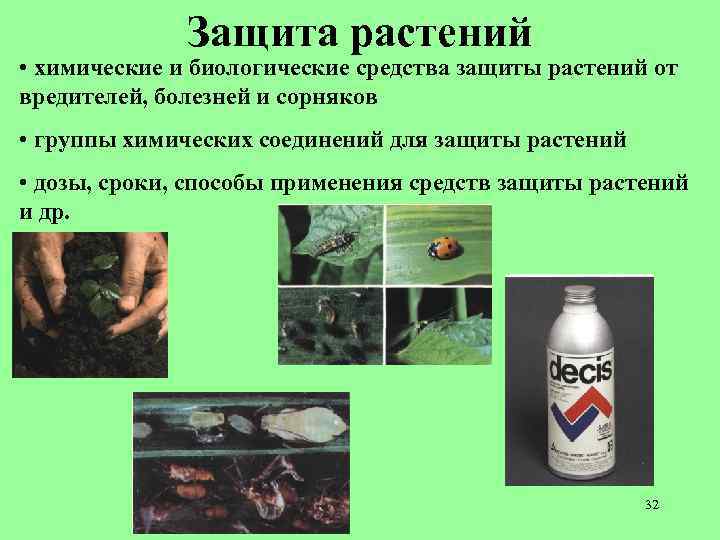 Самые опасные инфекционные болезни садово-огородных культур. как определить, меры борьбы. фото — ботаничка