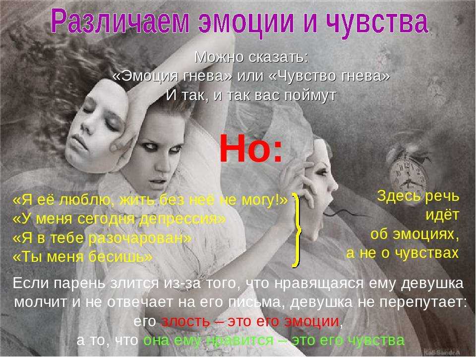 Функции эмоций. эмоции и поведение. теоретические вопросы дрессировки собак.
