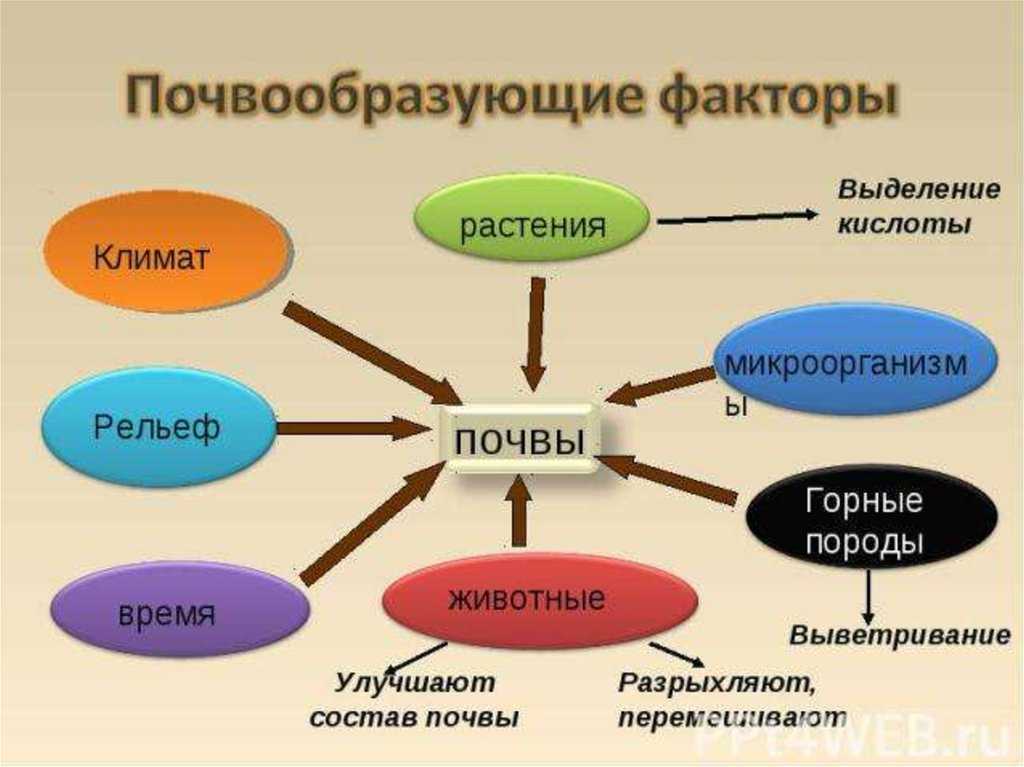 Почвоведение