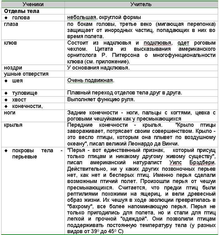 Внутреннее строение птиц, особенности внутренних органов