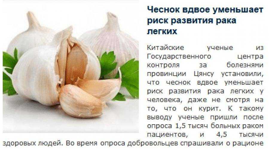 Луковые овощные культуры. значение, распространение, биологические особенности овощных культур