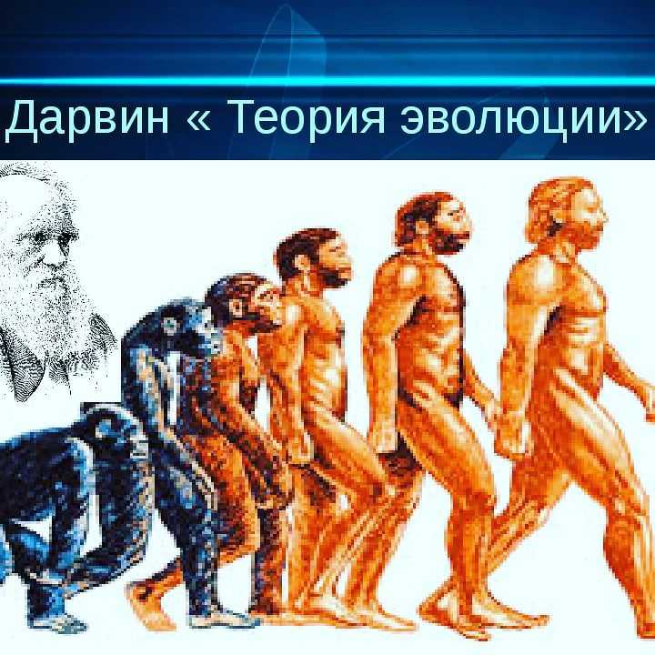 Реферат - учения дарвина об естественном отборе - скачать бесплатно