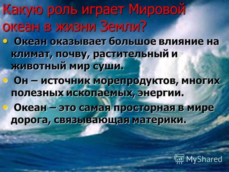 Мужчины без еды и воды переплыли океан за две недели — как им это удалось? - hi-news.ru