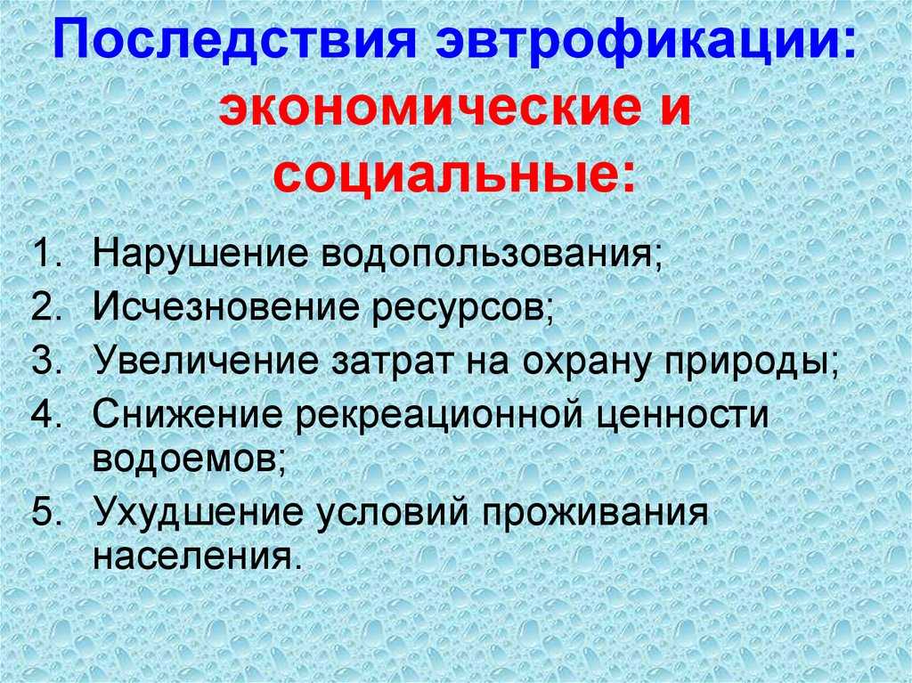 Как предотвратить и ликвидировать зарастание пруда на дачном участке