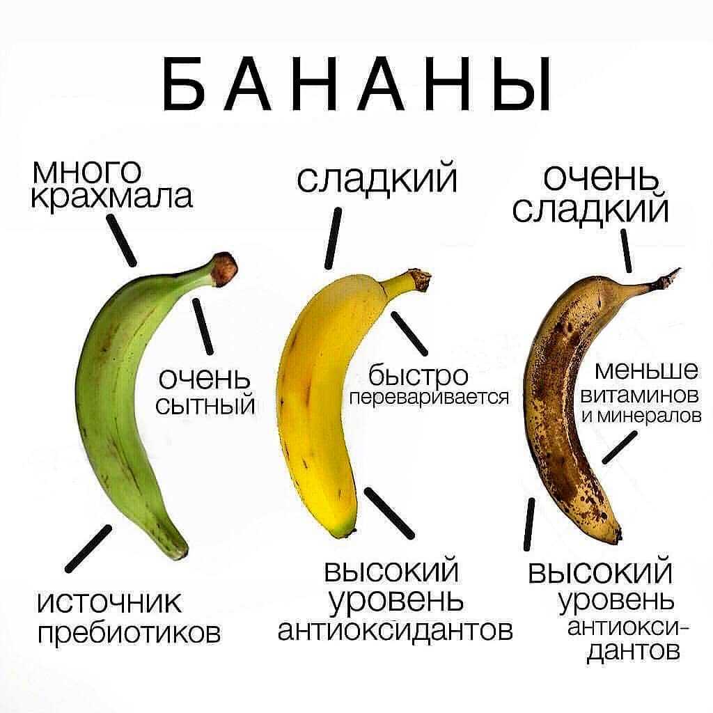 Банан: польза и вред для организма, калорийность и другие особенности. рассказываем простыми словами — секрет фирмы