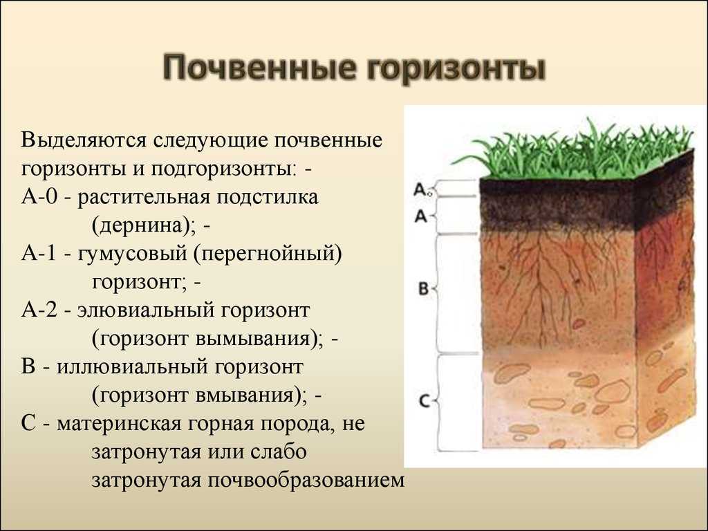 Цвет почвы - статьи - 2023