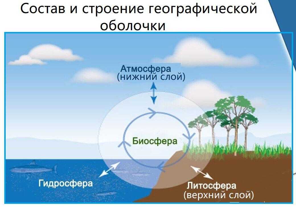 Географическая оболочка