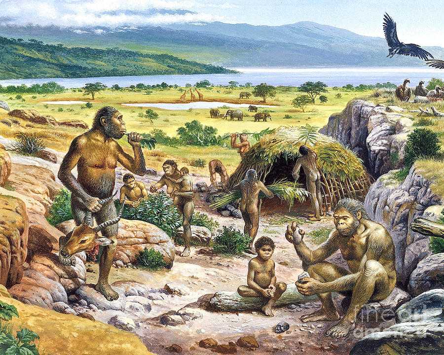 Как изменились фауна и флора в течение антропогена кратко