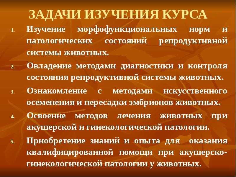 Ветеринарное акушерство, гинекология и биотехника размножения презентация, доклад, проект