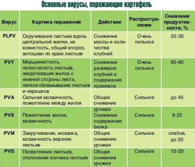 Список болезней растений с фотографиями