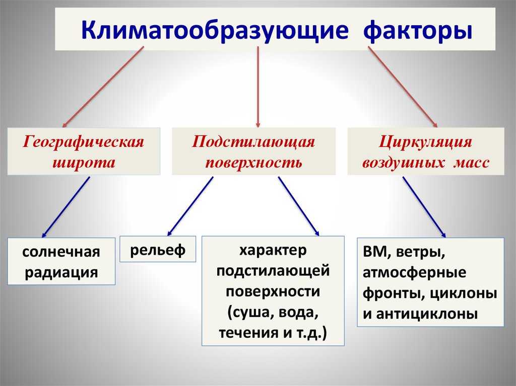 Климат земли: что это, типы и виды климата на поверхности земли, факторы - климатические пояса и их характеристики