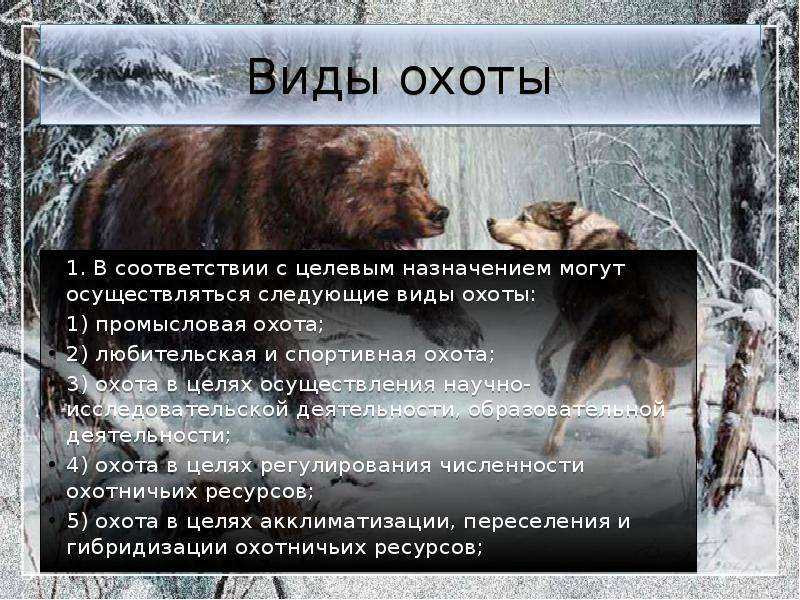 Уголовная ответственность за незаконную охоту  зуева любовь александровна