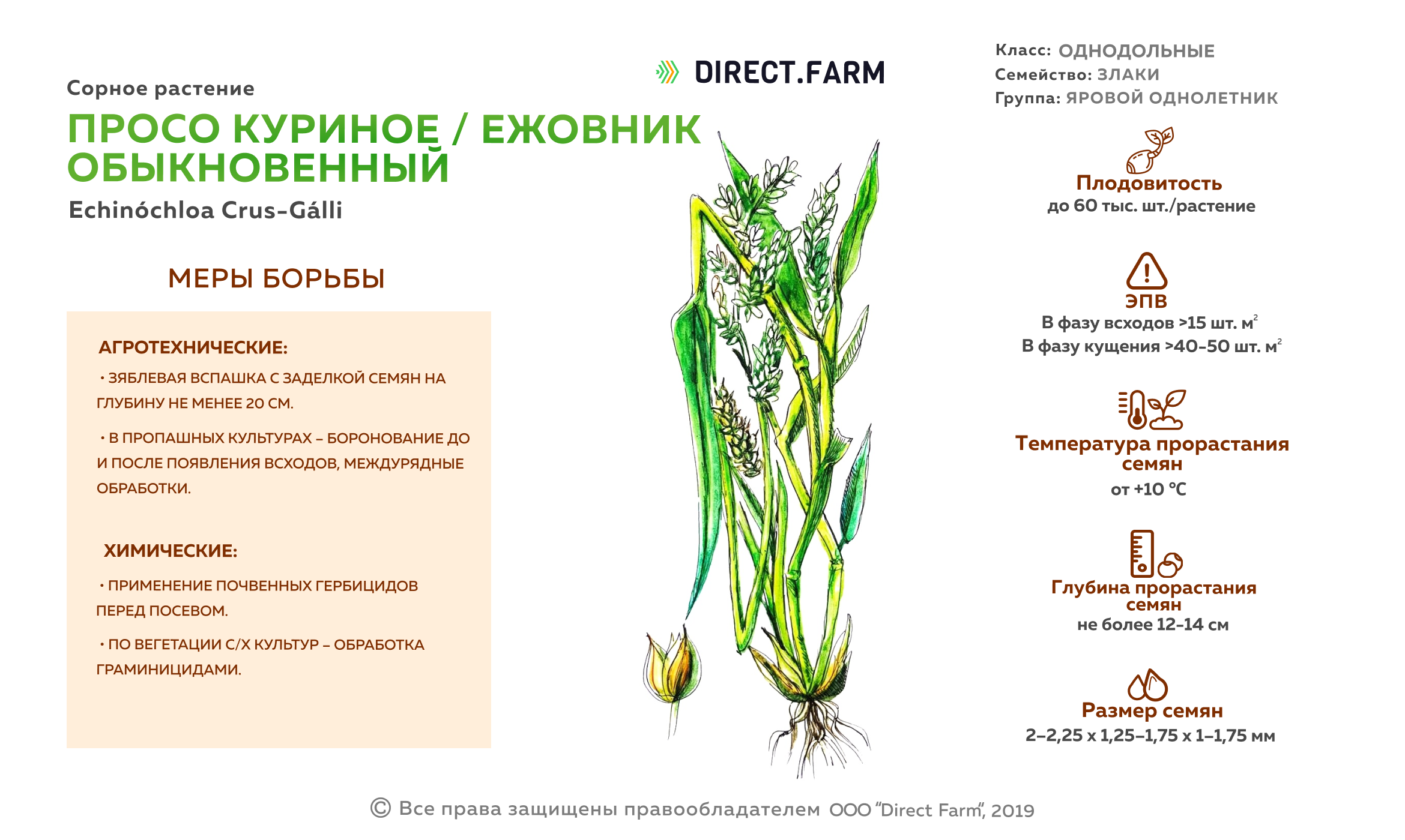 Биологические группы