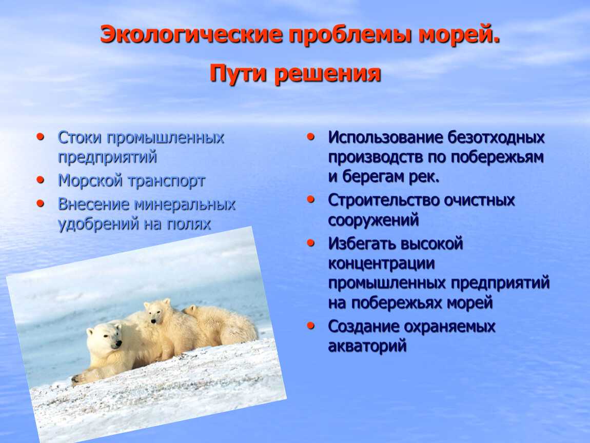 Опасный азарт или особенности рыбного промысла в охотском море